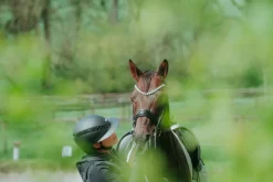 AIRLUXE PURE Long Visor