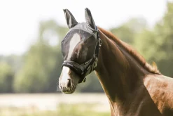 FLY MASK