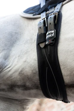 MESH DRESSAGE
