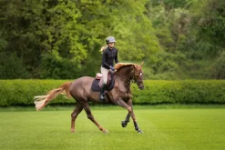 PIKEUR AMIA GripTec Knie