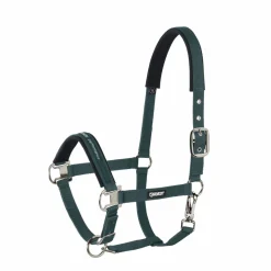 PIN BUCKLE