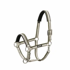 PIN BUCKLE
