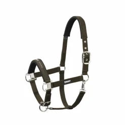 PIN BUCKLE