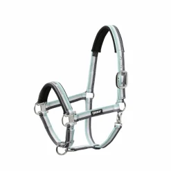 PIN BUCKLE