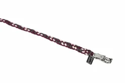 REGULAR PANIKHAKEN