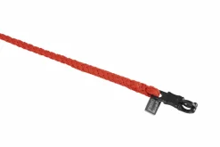 REGULAR PANIKHAKEN