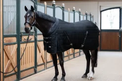 SIGMA STABLE 100