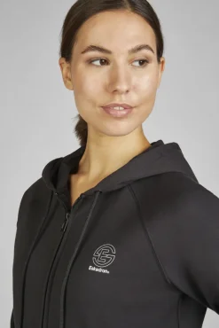 Zip-Hood Dynamic